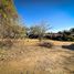  Land for sale in Zapopan, Jalisco, Zapopan, Jalisco