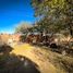  Land for sale in Zapopan, Jalisco, Zapopan, Jalisco