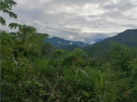  Land for sale in Magdalena, Santa Marta, Magdalena