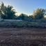  Land for rent in Merida, Yucatan, Merida
