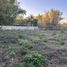  Land for rent in Merida, Yucatan, Merida