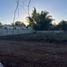  Land for rent in Merida, Yucatan, Merida