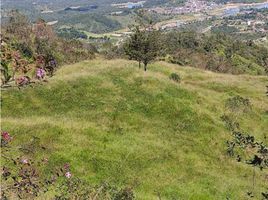  Terreno (Parcela) en venta en Guatape, Antioquia, Guatape