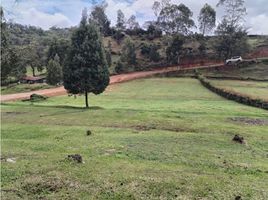  Grundstück zu verkaufen in San Vicente, Antioquia, San Vicente