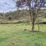  Land for sale in San Vicente, Antioquia, San Vicente