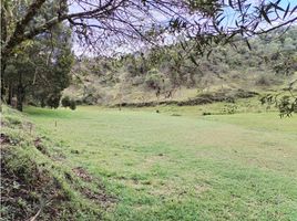  Land for sale in San Vicente, Antioquia, San Vicente