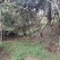  Land for sale in San Vicente, Antioquia, San Vicente