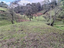  Land for sale in San Vicente, Antioquia, San Vicente