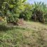  Land for sale in Guarne, Antioquia, Guarne