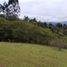  Land for sale in Guarne, Antioquia, Guarne