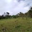  Land for sale in Guarne, Antioquia, Guarne