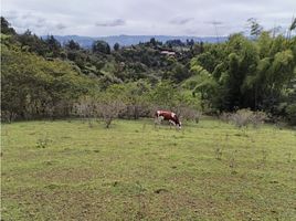  Land for sale in Guarne, Antioquia, Guarne