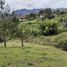  Terreno (Parcela) en venta en Guarne, Antioquia, Guarne