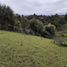  Land for sale in Guarne, Antioquia, Guarne