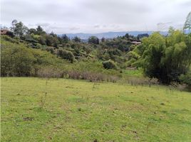  Terreno (Parcela) en venta en Guarne, Antioquia, Guarne