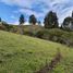  Land for sale in Guarne, Antioquia, Guarne