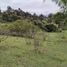  Land for sale in Guarne, Antioquia, Guarne