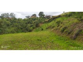  Terreno (Parcela) en venta en Marinilla, Antioquia, Marinilla