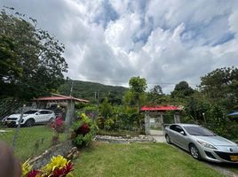 11 Bedroom Villa for rent in Valle Del Cauca, Yumbo, Valle Del Cauca