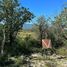  Land for sale in Bustamante, Nuevo Leon, Bustamante