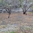  Land for rent in Cuernavaca, Morelos, Cuernavaca