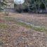  Land for rent in Cuernavaca, Morelos, Cuernavaca