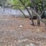  Land for rent in Cuernavaca, Morelos, Cuernavaca