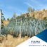  Land for sale in Tepic, Nayarit, Tepic