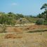  Terreno (Parcela) en venta en Manglaralto, Santa Elena, Manglaralto