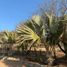  Grundstück zu verkaufen in La Paz, Baja California Sur, La Paz