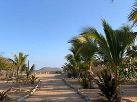  Grundstück zu verkaufen in La Paz, Baja California Sur, La Paz