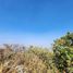  Land for sale in Zapopan, Jalisco, Zapopan, Jalisco