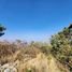  Land for sale in Zapopan, Jalisco, Zapopan, Jalisco