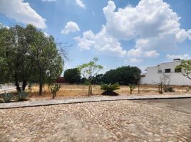  Grundstück zu verkaufen in Allende, Guanajuato, Allende