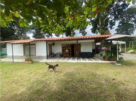 5 Habitación Casa en venta en Montenegro, Quindio, Montenegro