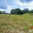  Land for sale in Filandia, Quindio, Filandia