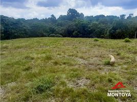  Land for sale in Filandia, Quindio, Filandia