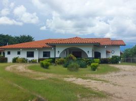 4 Schlafzimmer Haus zu verkaufen in Penonome, Cocle, Cocle, Penonome