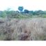  Land for sale in Anton, Cocle, Rio Hato, Anton