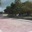  Terreno (Parcela) en venta en Carmen, Campeche, Carmen