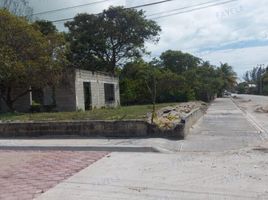  Terreno (Parcela) en venta en Carmen, Campeche, Carmen