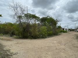  Grundstück zu verkaufen in Conkal, Yucatan, Conkal