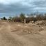  Terreno (Parcela) en venta en Conkal, Yucatán, Conkal