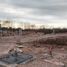  Terreno (Parcela) en venta en Conkal, Yucatán, Conkal