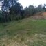 Terrain à vendre à Guarne, Antioquia, Guarne, Antioquia, Colombie