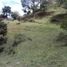 Terrain à vendre à Guarne, Antioquia, Guarne, Antioquia, Colombie