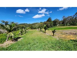  Land for sale in Rionegro, Antioquia, Rionegro