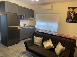 1 Habitación Departamento en alquiler en Monterrey, Nuevo León, Monterrey