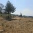  Land for sale in Erongaricuaro, Michoacan, Erongaricuaro, Michoacan