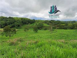 Studio Villa for sale in Bugaba, Chiriqui, Volcan, Bugaba